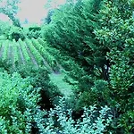 Les Id De Emilion Bed & Breakfast