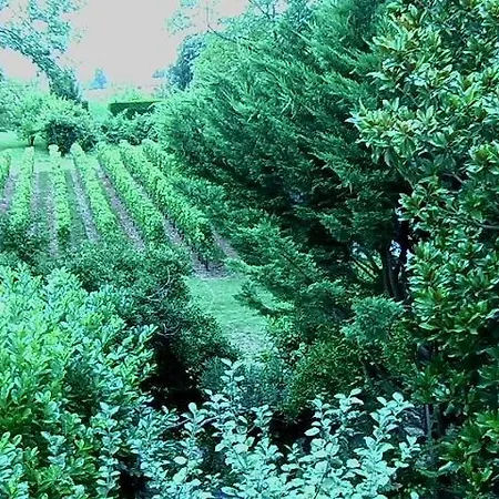 Les Id De Emilion Bed & Breakfast
